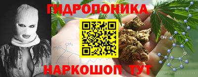 2c-b Ефремов