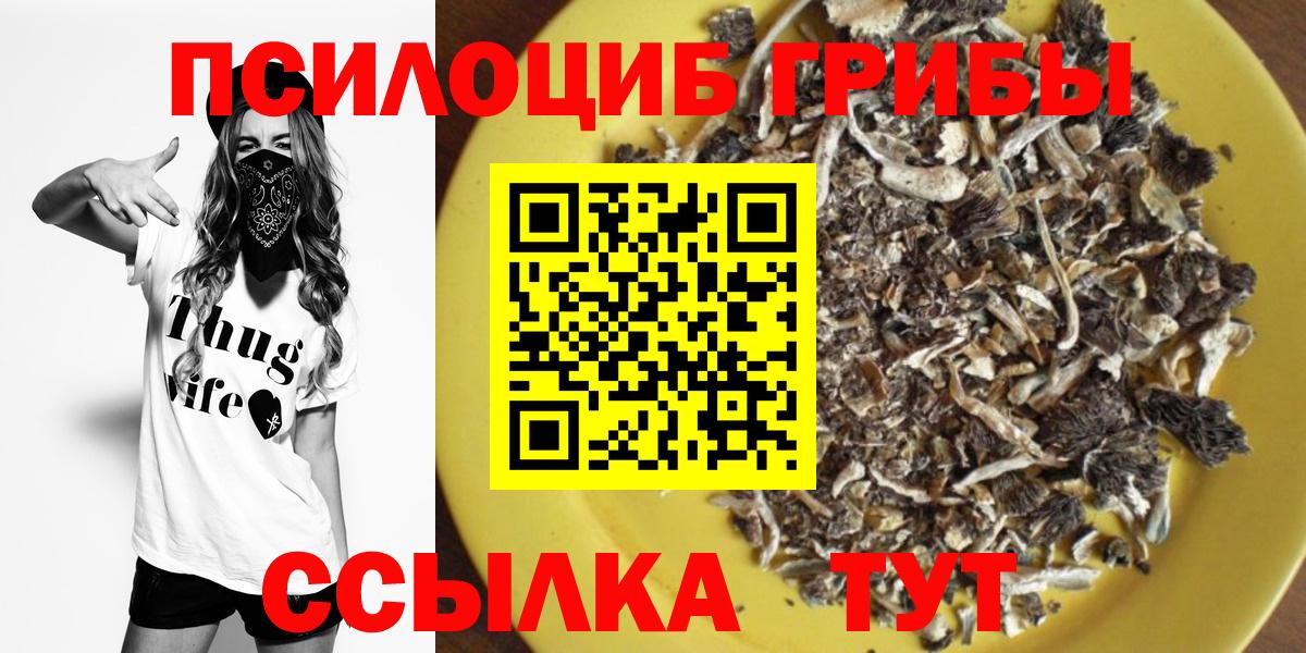 как найти закладки  Вход с VPN  Каспийск  Псилоцибиновые грибы MAGIC MUSHROOMS 